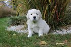 IMG_2506.JPG