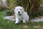 IMG_2507.JPG