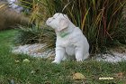 IMG_2509.JPG