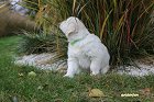 IMG_2511.JPG