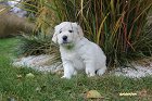 IMG_2513.JPG