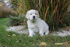 IMG_2514.JPG