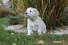 IMG_2525.JPG