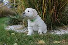 IMG_2527.JPG