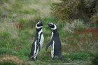 DSC_2024.jpg