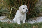 IMG_2546.JPG