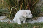 IMG_2548.JPG