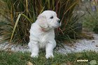 IMG_2551.JPG