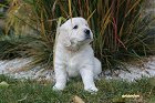 IMG_2565.JPG