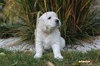 IMG_2566.JPG
