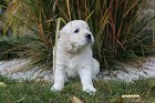 IMG_2567.JPG
