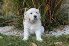 IMG_2570.JPG