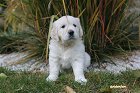 IMG_2572.JPG