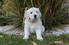 IMG_2573.JPG