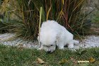 IMG_2583.JPG