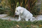 IMG_2592.JPG