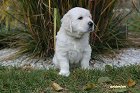IMG_2594.JPG