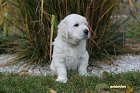 IMG_2595.JPG