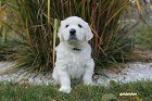 IMG_2599.JPG