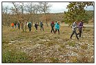 Coulet St Joseph -2- (Copier).JPG