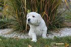IMG_2605.JPG