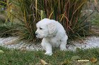 IMG_2608.JPG