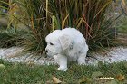 IMG_2609.JPG