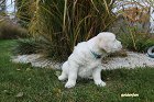 IMG_2381.JPG