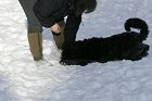 _MG_4687.JPG