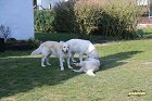 IMG_3507.JPG
