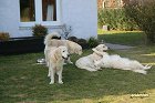 IMG_3508.JPG