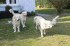 IMG_3513.JPG
