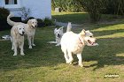IMG_3514.JPG