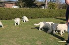 IMG_3517.JPG