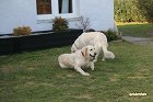 IMG_3520.JPG