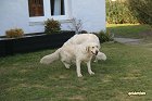 IMG_3521.JPG