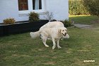 IMG_3522.JPG