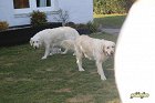 IMG_3526.JPG