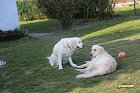 IMG_3527.JPG