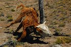 DSC_3553.jpg