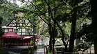 DSC08969.JPG