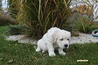 IMG_2382.JPG