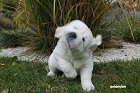 IMG_2385.JPG