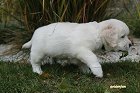 IMG_2386.JPG