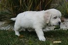 IMG_2387.JPG