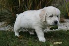 IMG_2388.JPG