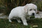 IMG_2389.JPG