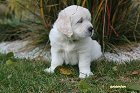 IMG_2390.JPG