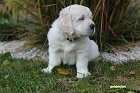 IMG_2391.JPG