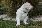 IMG_2392.JPG